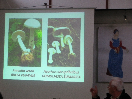 gljive_predavanje2