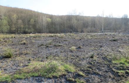 pozar_zena_slunjski_moravci_01