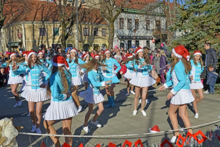 zorindom_bor_2
