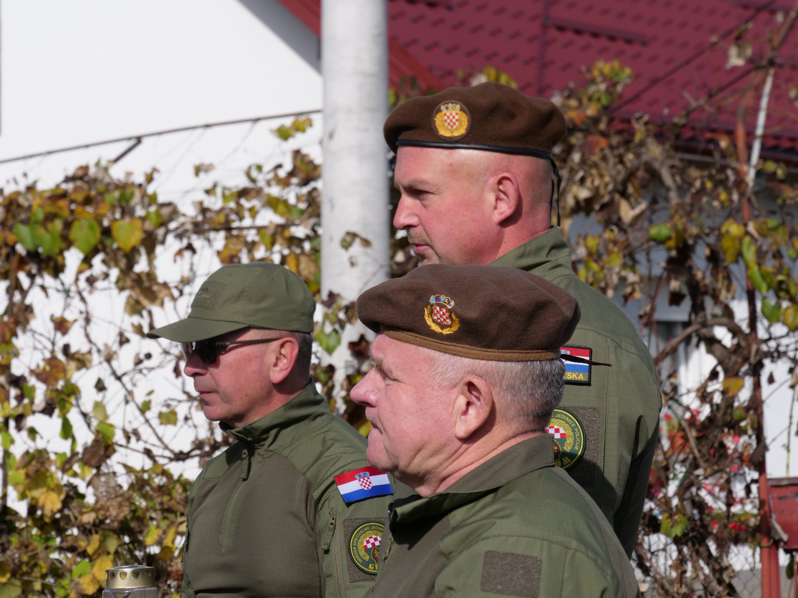 P1733263