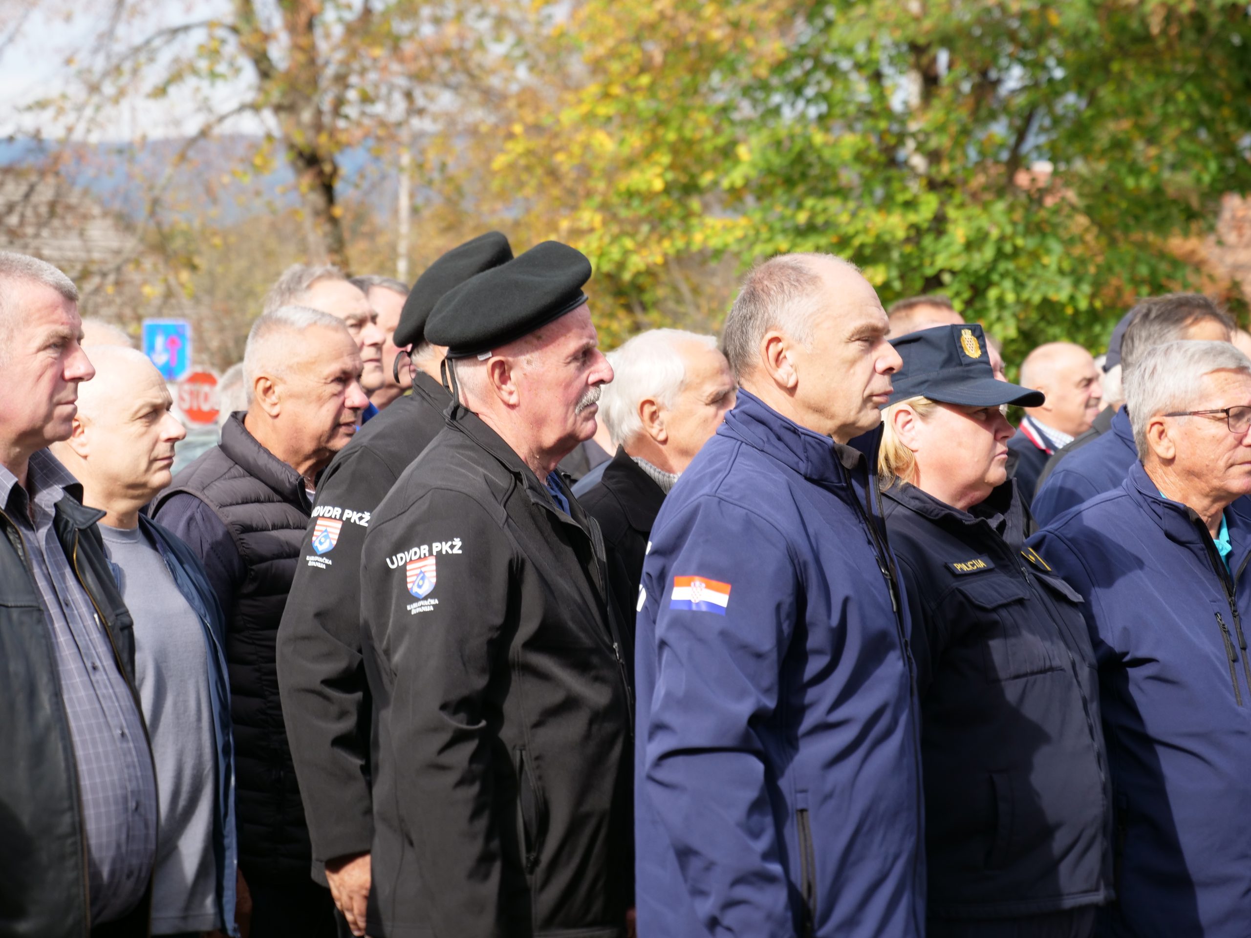 P1733335